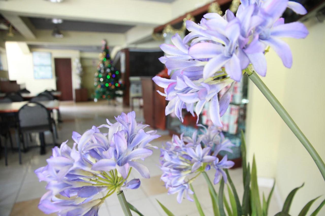 Pandu Lakeside Hotel Parapat Buitenkant foto